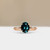 S822-ARIA-RG-NVSTL3600.jpg