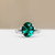 S822-ARIA-WG-NVSTEL3662.jpg