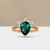 S818-IRIS-RG-NVSTEL3674.jpg