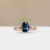 S822-ARIA-RG-NVSTL3713.jpg