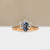 S818-IRIS-RG-NVSTL3710.jpg