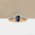 S818-IRIS-RG-NVSTL3712.jpg