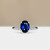 S806-ALICE-WG-NVST3397.jpg