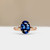 S822-ARIA-RG-NVST3362.jpg