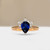 S818-IRIS-RG-NVST3439.jpg
