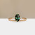 S811-FAYER-RG-NVST3881.jpg