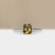 S826-CELINE-WG-NVST3840.jpg