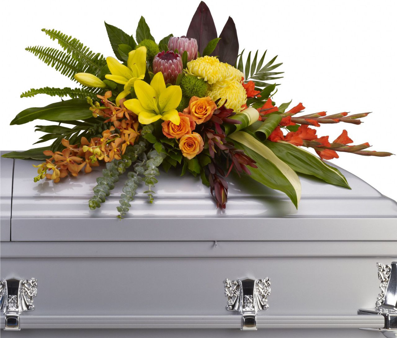 Tropical Orchid Protea Casket Cover Spray | Pearland Flowers
