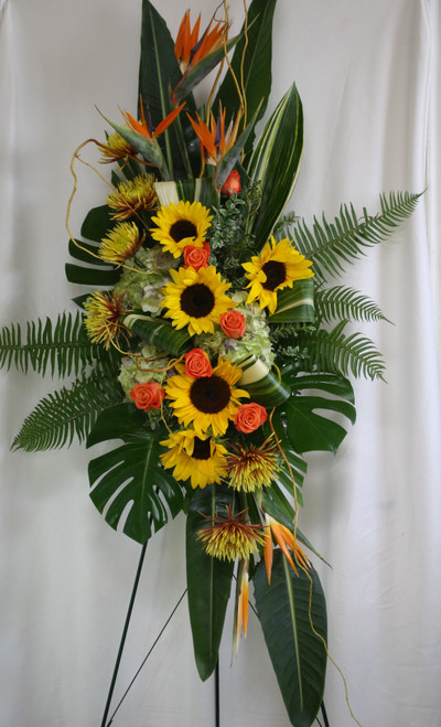 Birds of Paradise and Sunflower Sympathy Standing Spray from Enchanted Florist. One of our largest sprays in oranges and yellows, our custom spray includes birds of paradise, sunflowers, spiders, orange roses and green hydrangeas, and lots of green foliage to set the design off. Approximately 70"H x 34"W (size not including stand)
SKU RM553