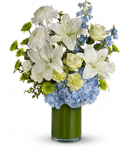 SYM442__85043.1584562368.500.