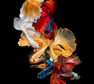 Your first blog post!