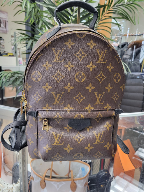 Louis Vuitton  Backpack Monogram Canvas MM