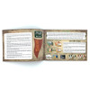Decoding Zarahemla (Game)*