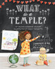What Is a Temple?   (Hardcover) *