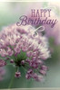 Happy Birthday - Greeting Card *
