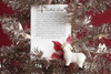 Our Christmas Lamb with Prayer Card (While Supplies Last)
