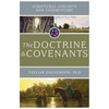 Scriptural Insights and Commentary: The Doctrine and Covenants (Paperback)*