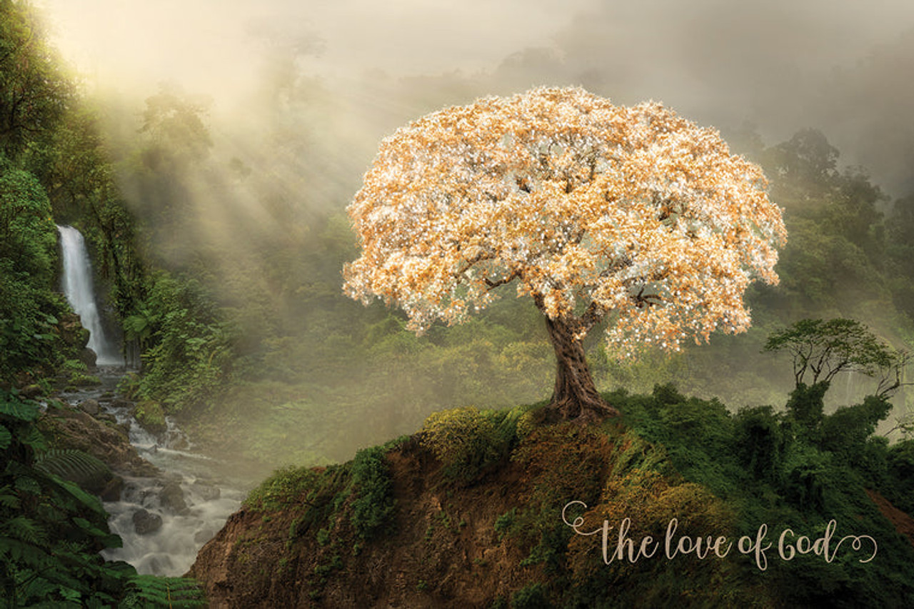 The Love of God - Tree of Life (12x18 Repositionable Poster)