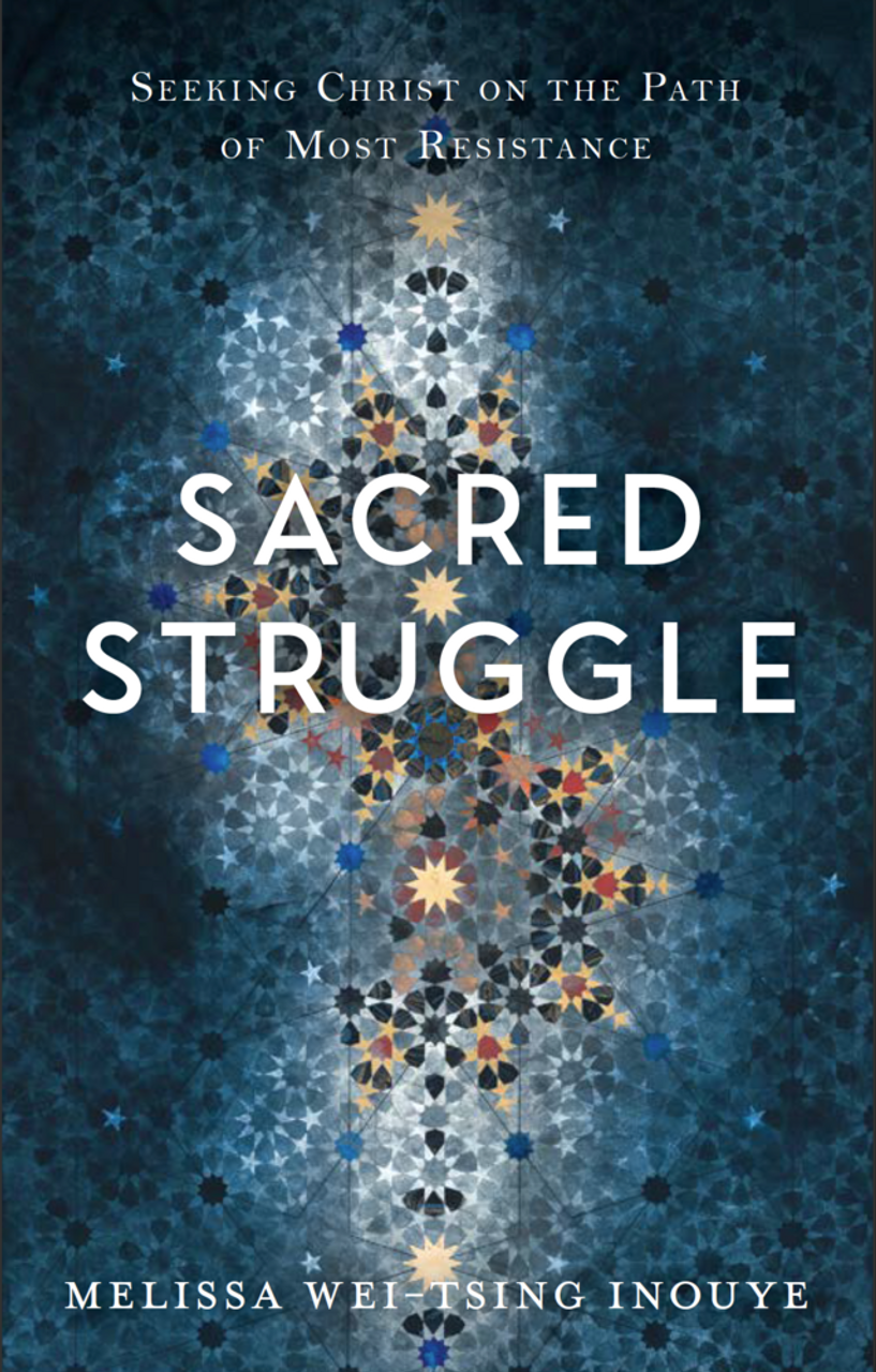 Sacred Struggle: Seeking Christ on the Path of Most Resistance (Paperback)*