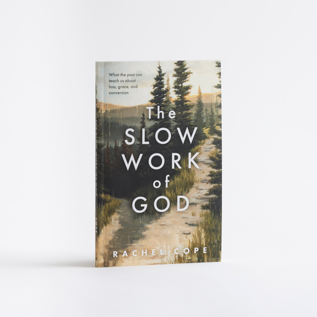 Slow Work of God (Paperback)