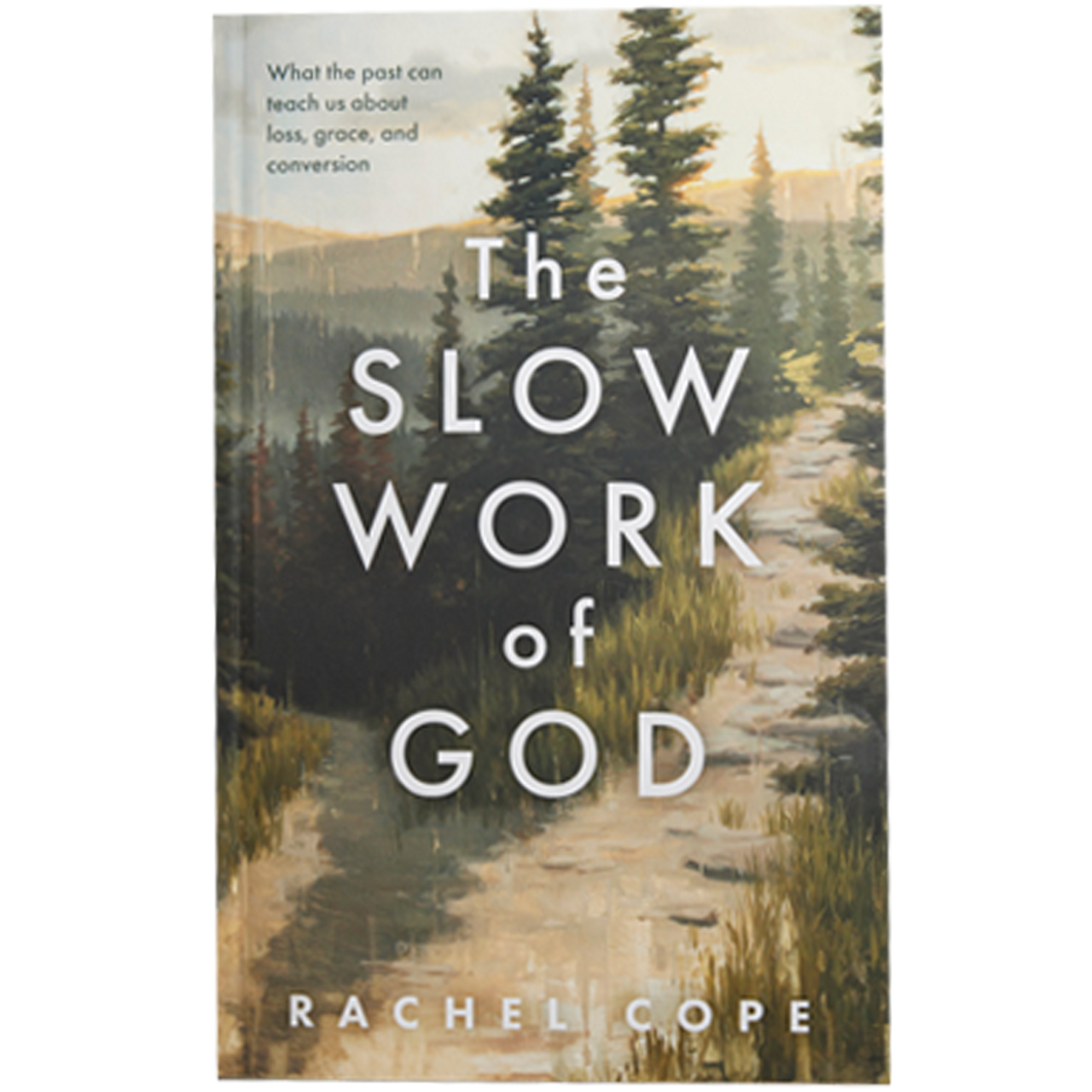 Slow Work of God (Paperback)