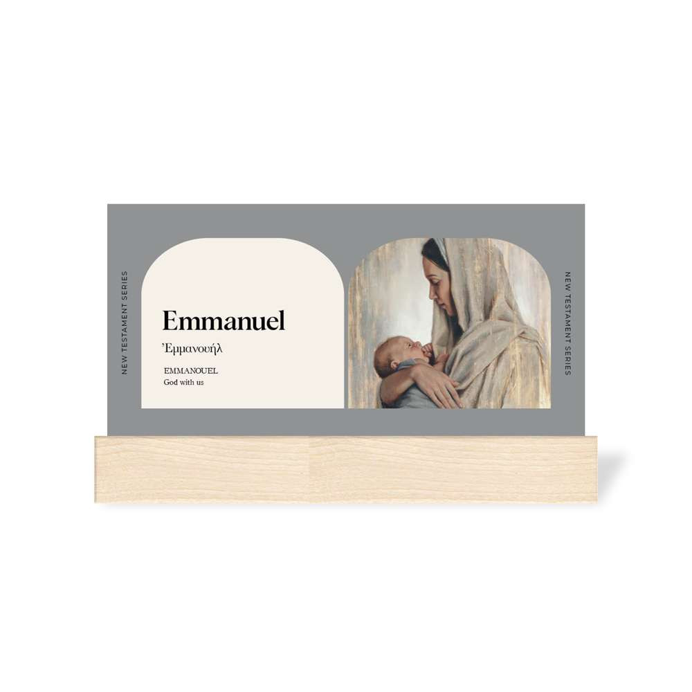 Don't Miss This 2027 New Testament Poster Set with Stand