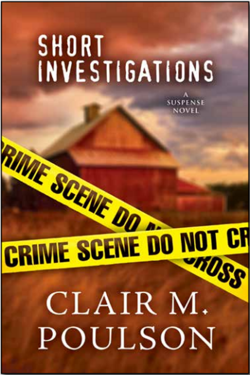 Short Investigations (Paperback)