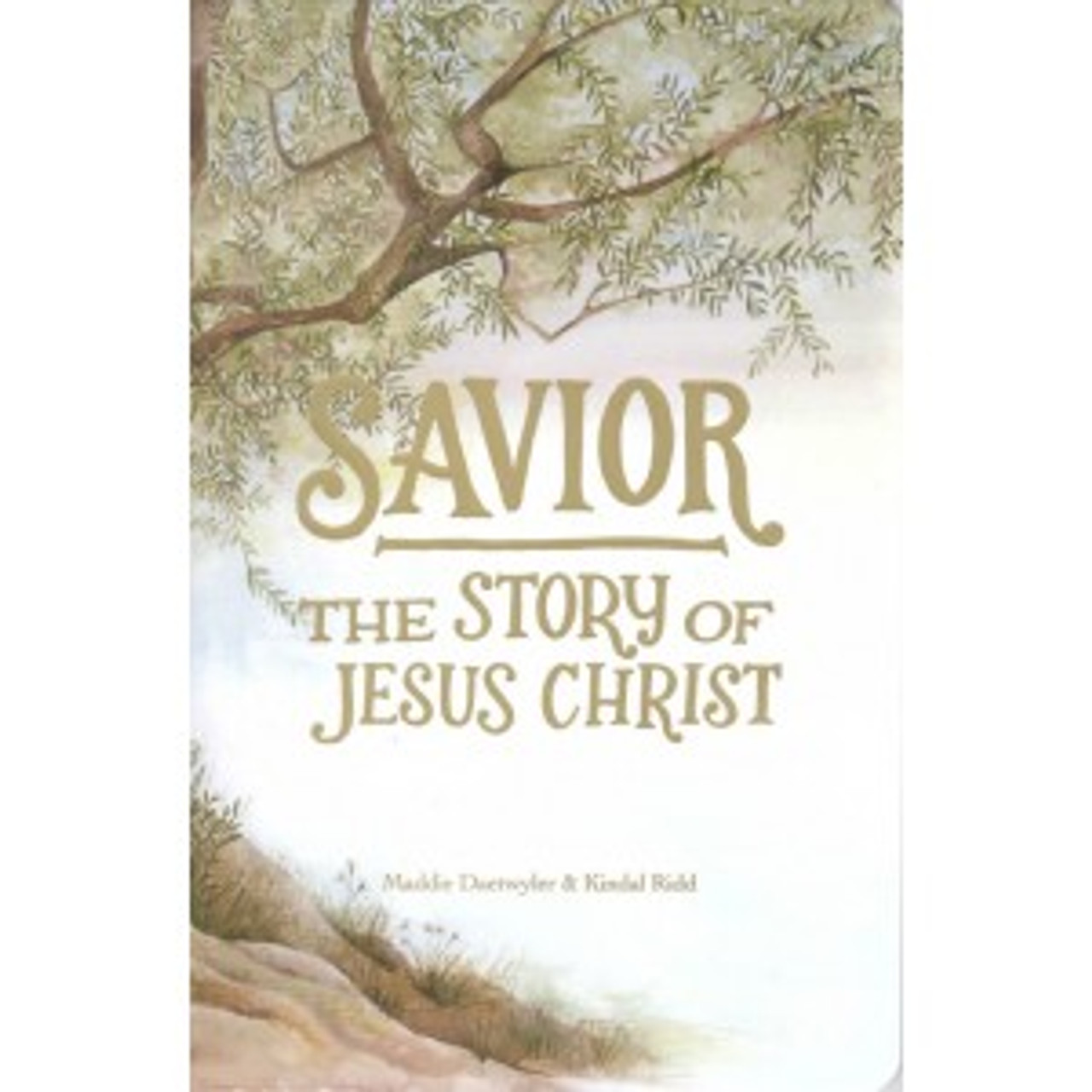 Savior: The Story of Jesus Christ (Paperback)