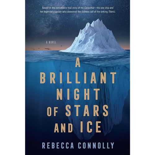 A Brilliant Night of Stars And Ice (Paperback)