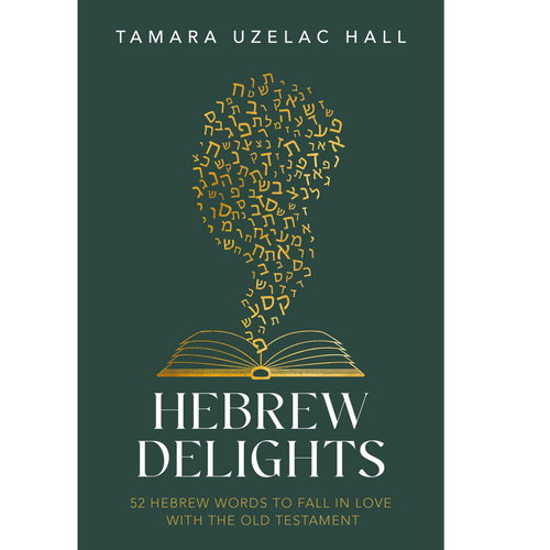 Hebrew Delights (Paperback)