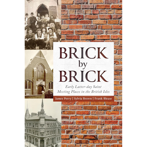 Brick by Brick (Hardcover