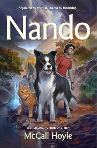 Nando (Hardcover)