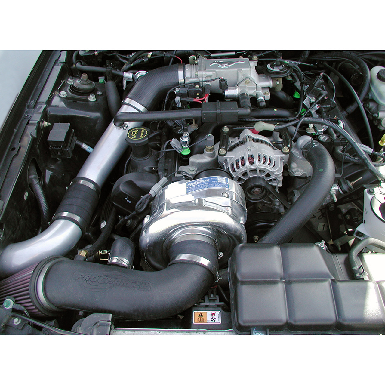 1999 mustang svt cobra supercharger