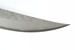 Forged Survival Prototype VG-10 Core Damascus Fixed 11.8" Blade Knife