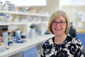 Professor Ingunn Holen: Investigating how breast cancer cells survive chemotherapy 