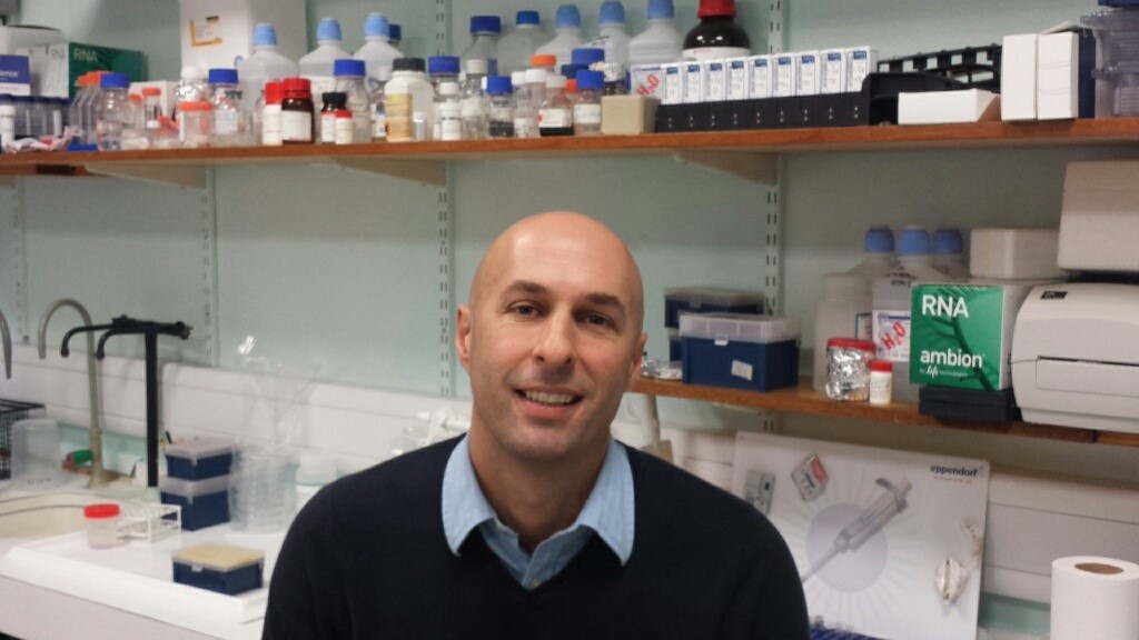 Dr Stephen Beers promoted to Professor