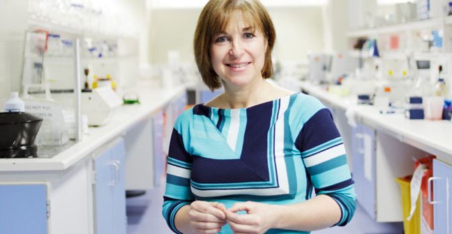 Professor Ingunn Holen: Understanding dormant breast cancer cells