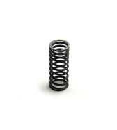 73044239X SPRING, VALVE