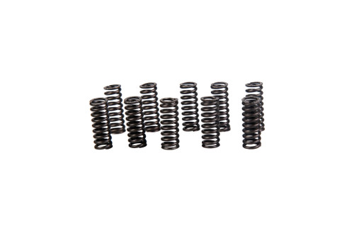5120761 SPRING [PKG of 10]