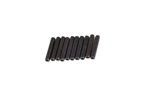 13907670 PIN [PKG of 10]