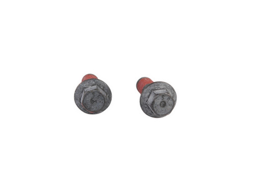 4899039 SCREW [PKG of 2]