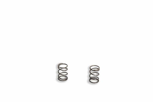 81878966 SPRING [PKG of 2]
