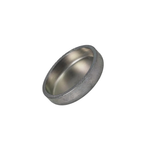 4895089 PLUG, EXPANSION [PKG of 10]