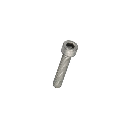 14305524 SCREW, HEX SOC [PKG of 10]