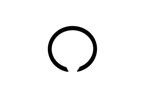 MT40029308 RING