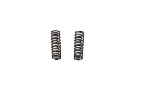 82825495 SPRING [PKG of 2]