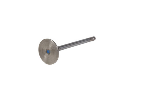 504162958 STD INLET VALVE