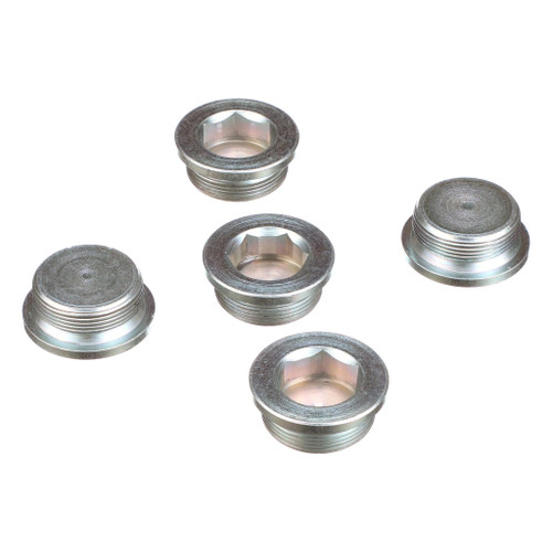 16993711 PLUG [PKG of 5]