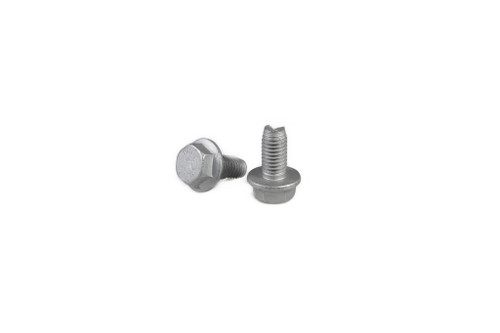 18139424 SCREW [PKG of 2]
