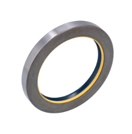 5135387 SEAL, OIL [PKG of 2]